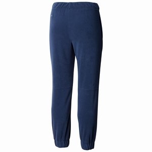 Columbia Glacial™ Skinna Banded Bottom Byxor Pojkar Marinblå (KXERP5931)